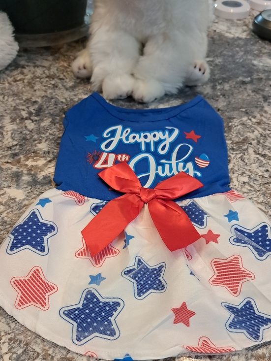 Other - Happy 4th of July Red White & Blue Star Dress